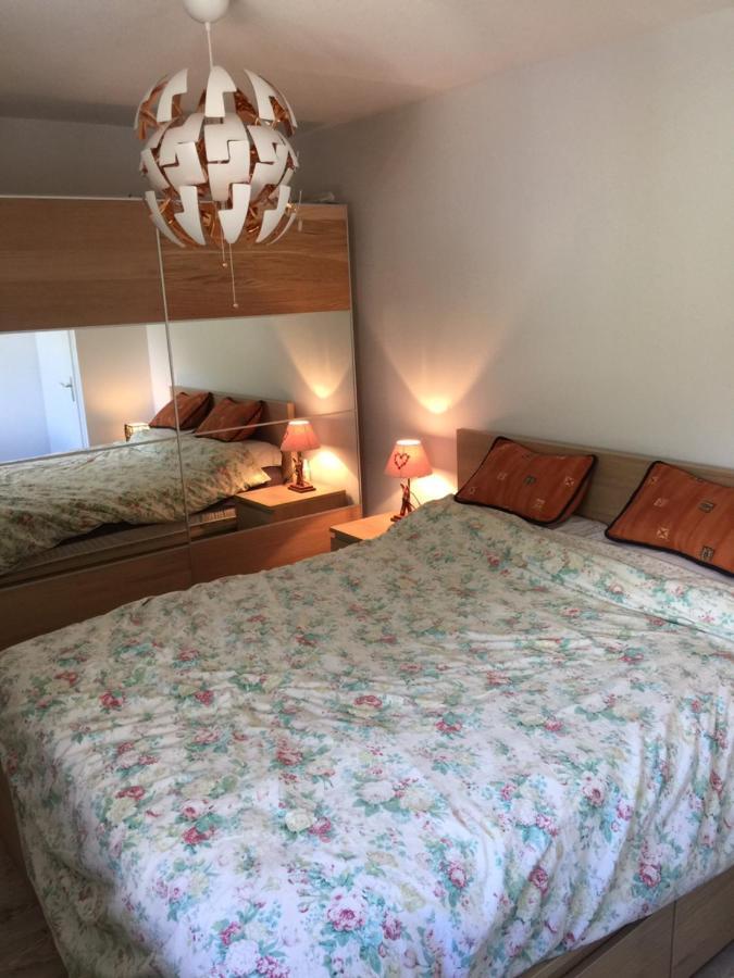 Appartement Face Au Mont Blanc & Glaciers Chamonix Exterior foto